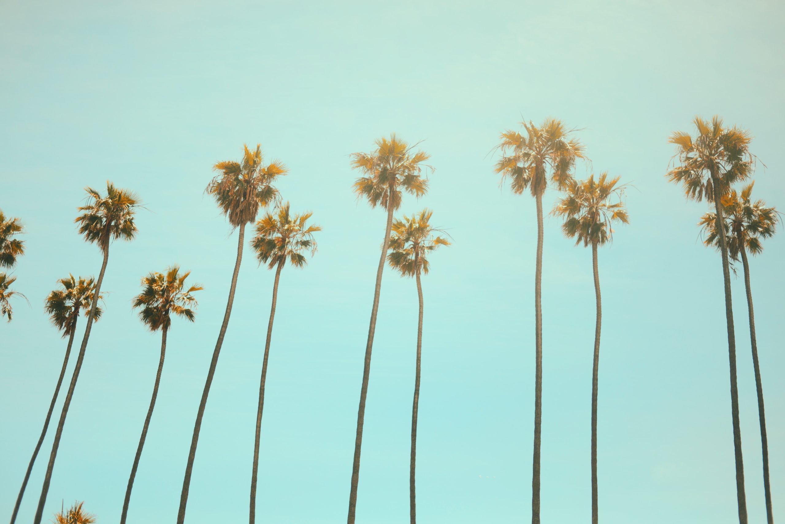 Business Insurance in California
