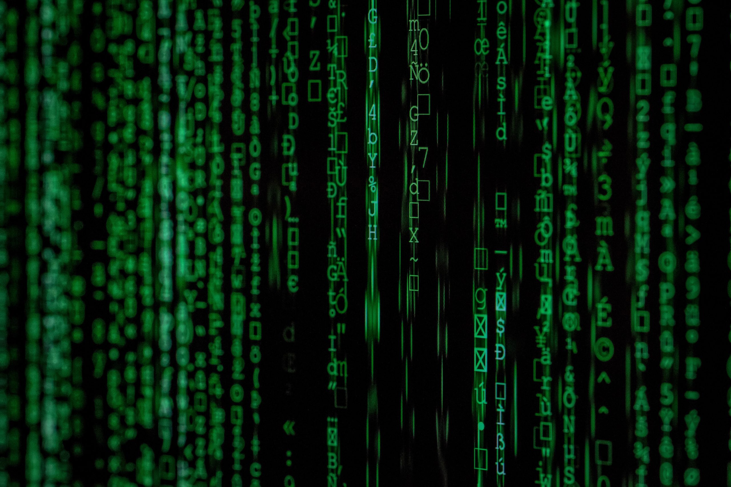 data scientist