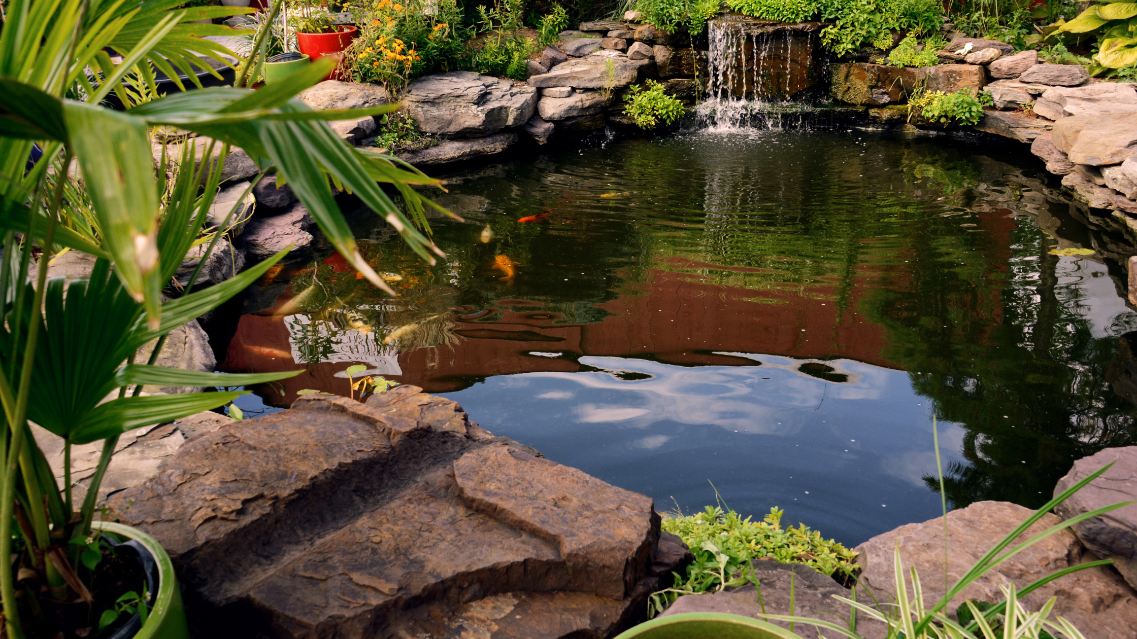 coterie insurance appetite classes- pond maintenance, liquor stores, internet auctioneers