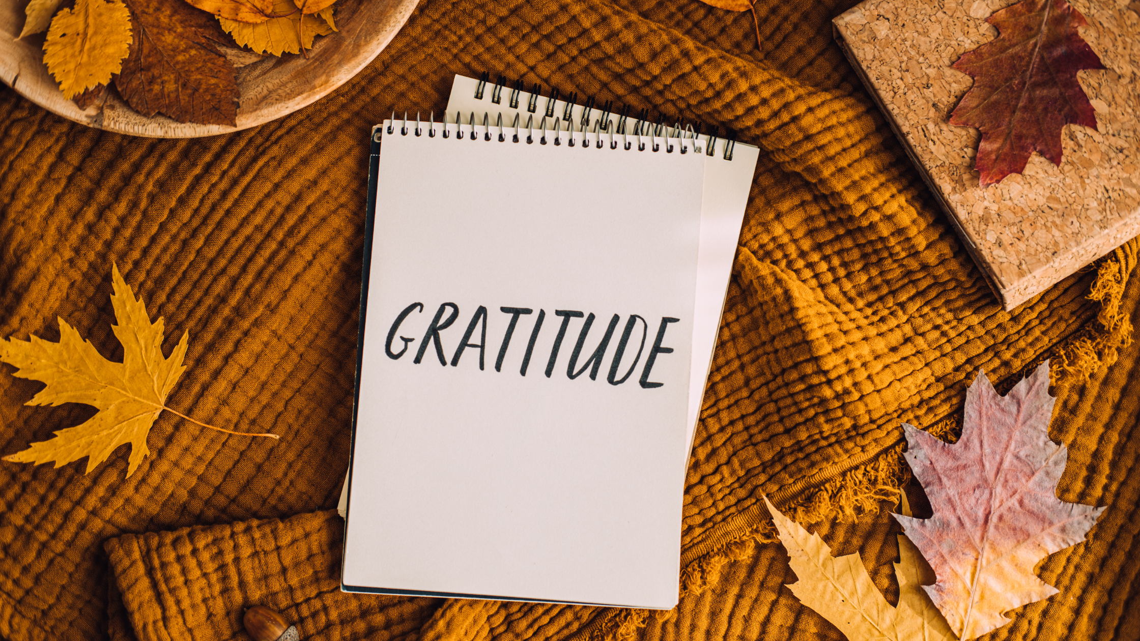 November’s Featured Classes of Business